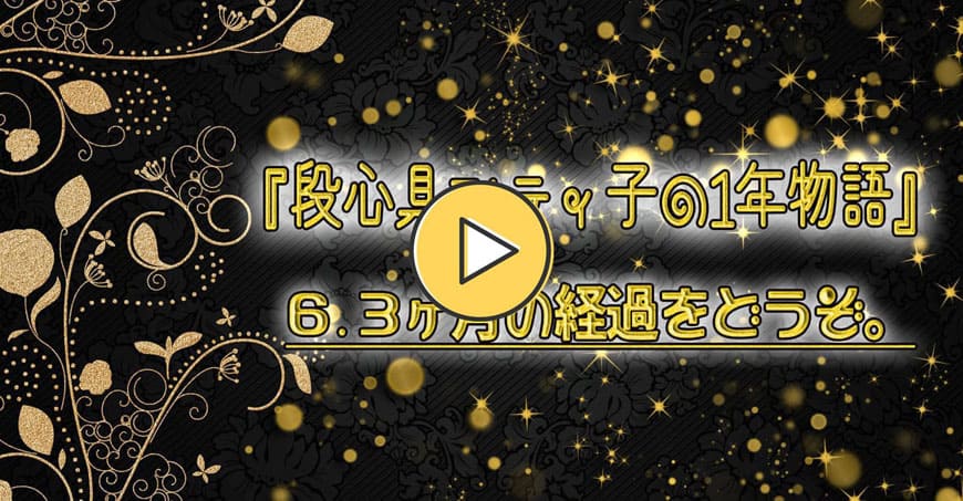 動画で見るシティ子物語
